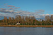 Der Fluss Tagliamento Bibione