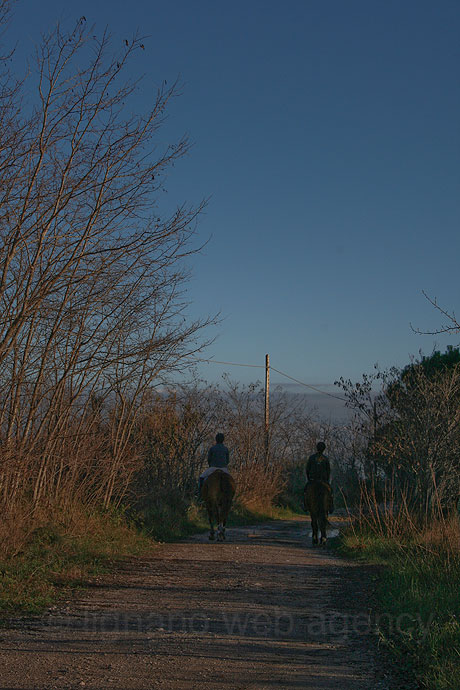 Horse riding bibione photo