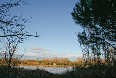 A tagliamento folyo omlese a tengerbe bibionenal foto