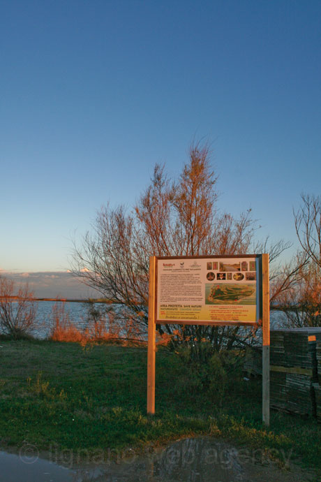 Complesso ambientale di foce di tagliamento foto