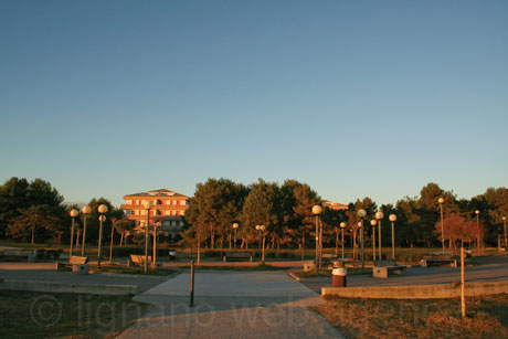 Parco sulla spiaggia di bibione foto