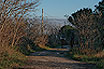 A cavallo verso il faro di bibione
