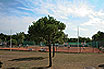 Campo Da Tennis A Bibione