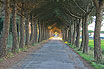 Strada Verso Bibione