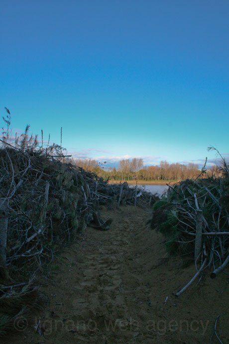 Verso il tagliamento bibione foto