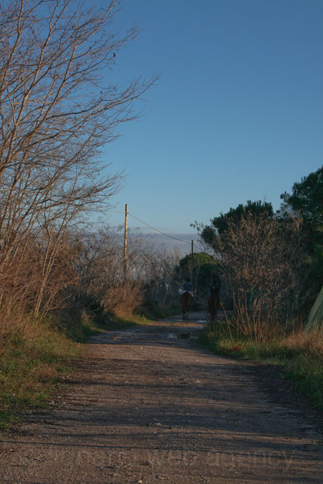 Calare spre farul din bibione foto
