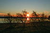 Bibione Seara